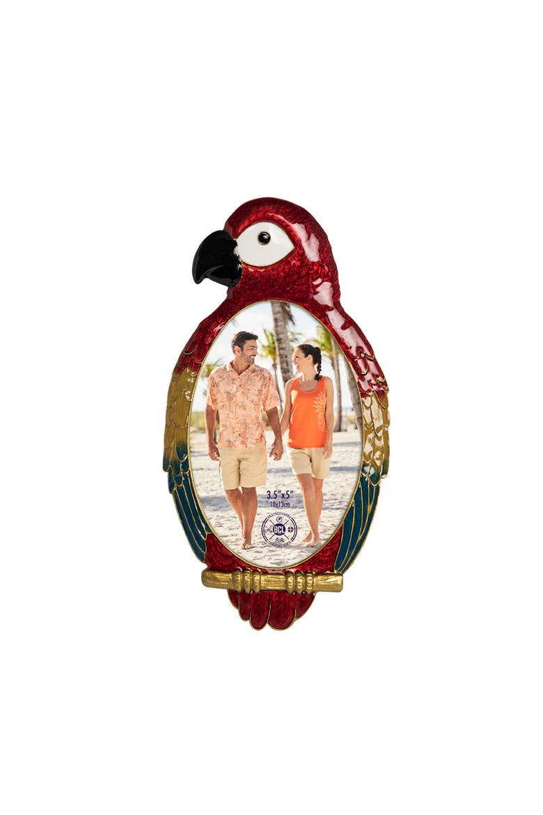 Rainbow Macaw Bird 3.5x5 Photo Picture Frame, Main, color, Red