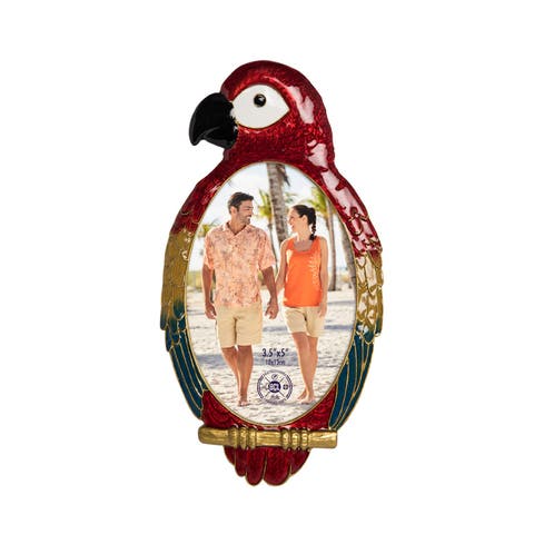 Rainbow Macaw Bird 3.5x5 Photo Picture Frame