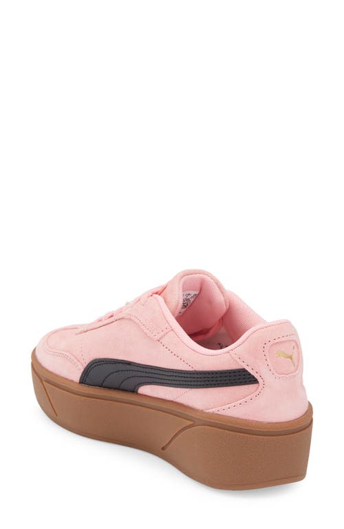 Puma Club Era Ii Platform Sneaker In Pattern