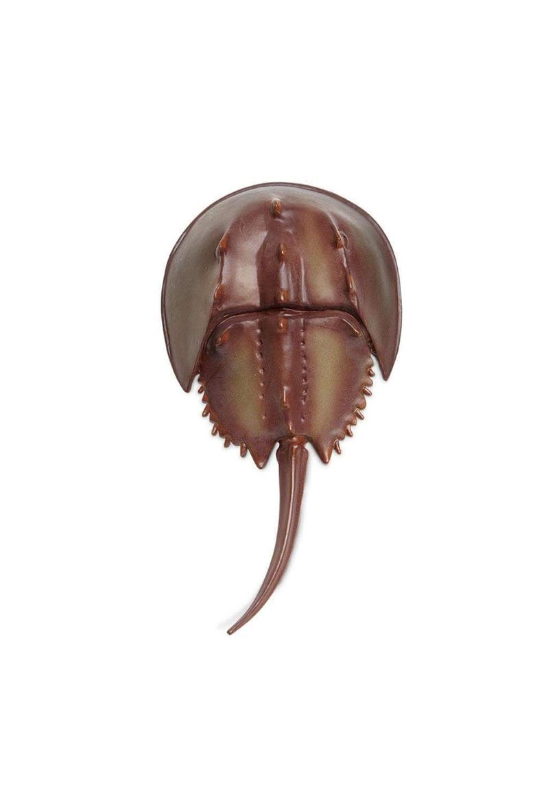 Horseshoe Crab Toy, Alternate, color, No Color