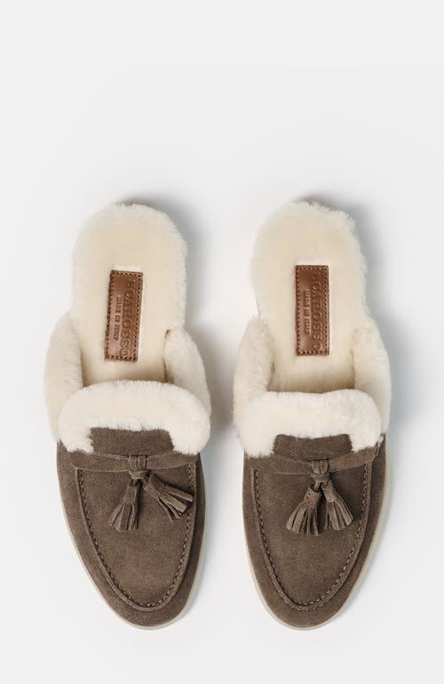 Scarosso Lucrezia Shearling Slip-on Mules In Brown