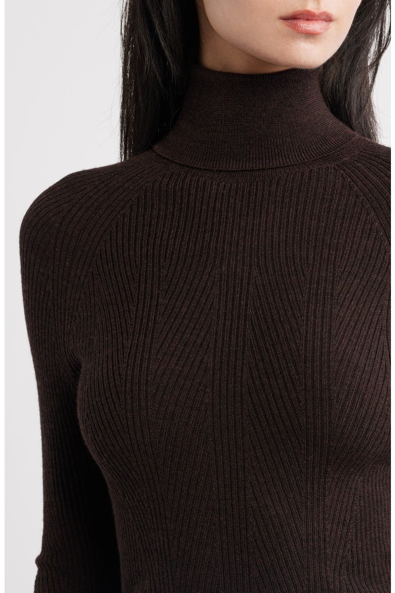 Merino Wool Turtleneck Sweater, Alternate, color, BRUNETTE