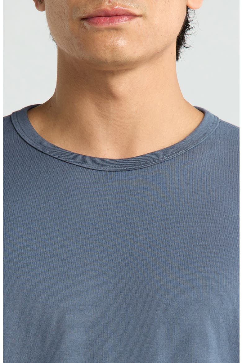 Bryce Crewneck T-Shirt, Alternate, color, BLUE