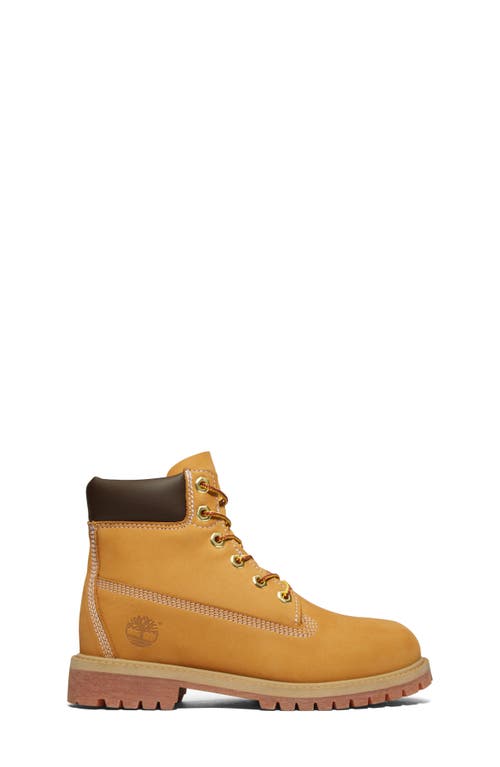 Timberland Kids' Premium 6-inch Waterproof Boot In Wheat