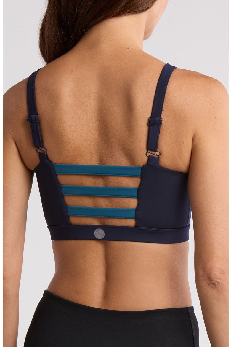 Fifer Stripe Sports Bra, Alternate, color, NIGHT SKY