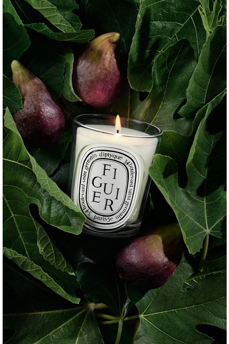 Figuier (Fig Tree) Classic Candle, Alternate, color, NO COLOR