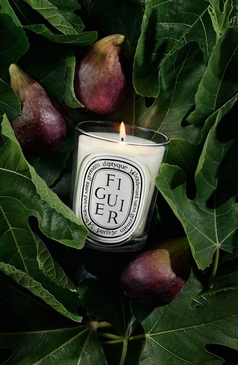 Diptyque Figuier (Fig Tree) Classic Candle, Alternate, color, 