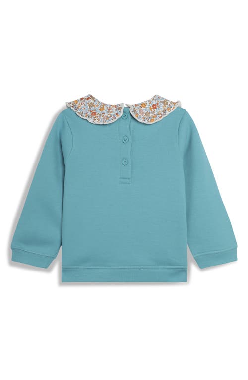 JOJO MAMAN BÉBÉ JOJO MAMAN BEBE AUTUMN HEDGEHOG APPLIQUÉ COLLARED COTTON GRAPHIC SWEATSHIRT