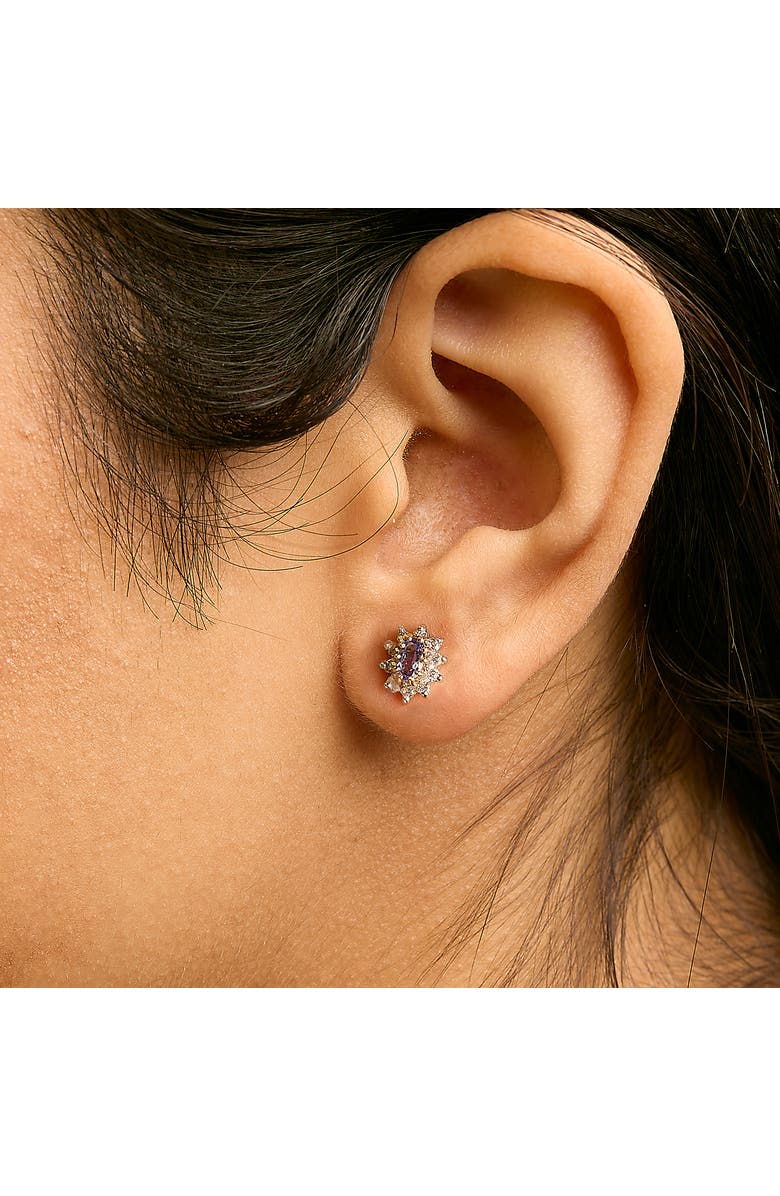 Haus of Brilliance 14K Yellow Gold 1/4 Cttw Diamond andTanzanite Halo Stud Earrings, Alternate, color, Yellow