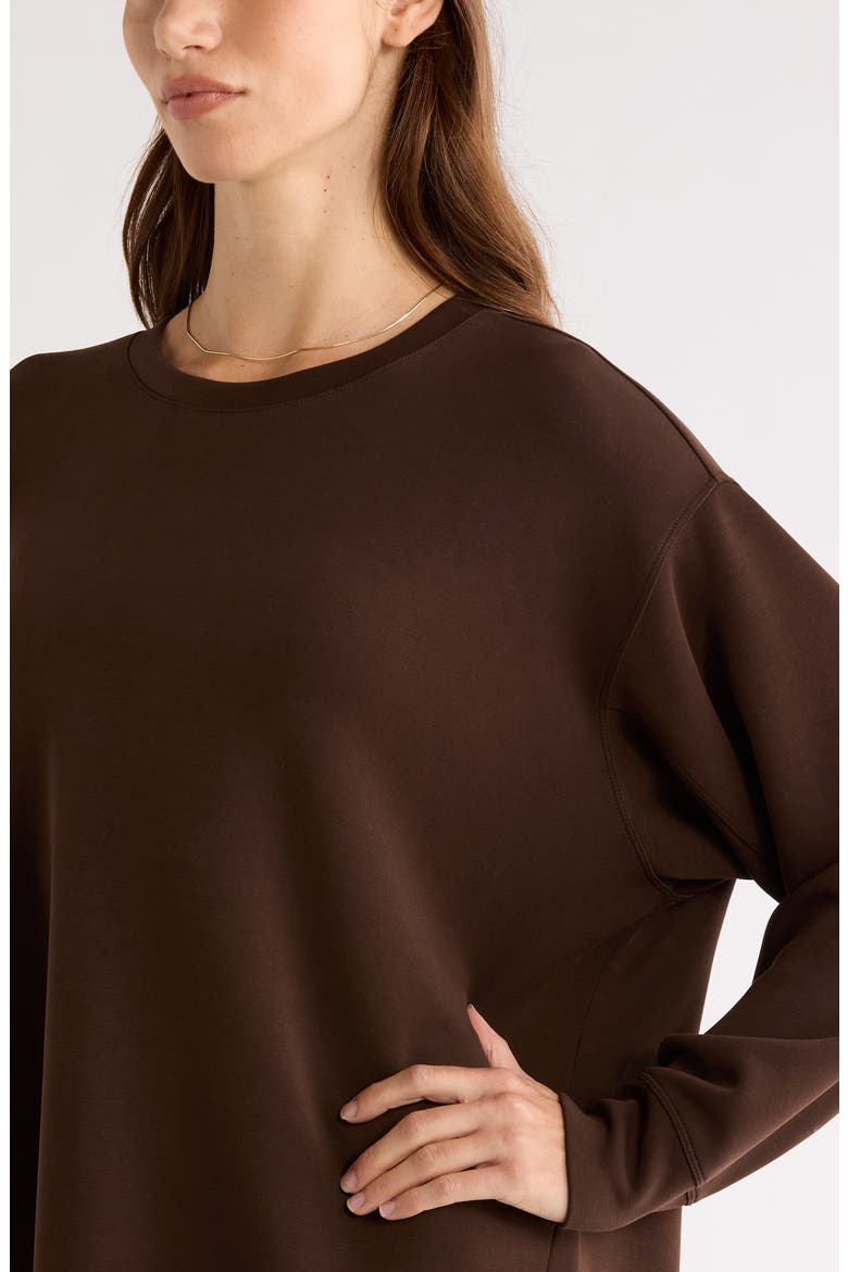 Soft Luxe Tunic, Alternate, color, BROWN MOLE