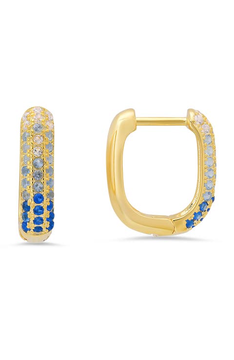 Ombré Hoop Earrings