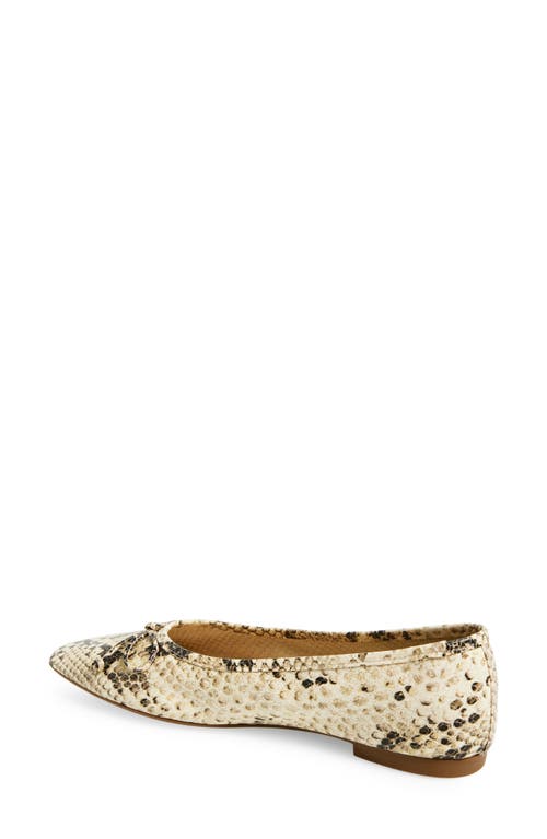 Schutz Arissa Snakeskin Embossed Ballet Flat In Animal Print