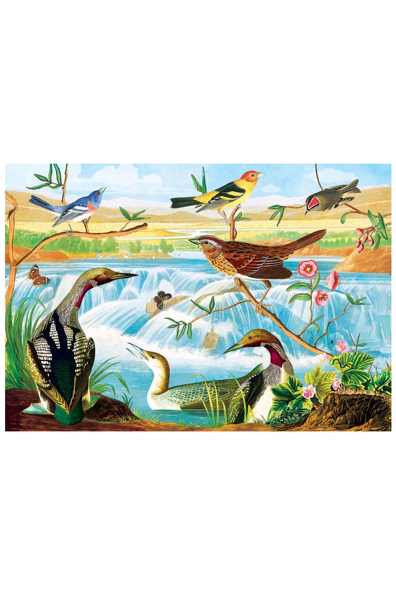 Audubon 2000 Piece Jigsaw Puzzle, Alternate, color, Multicolor
