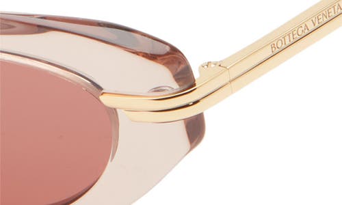 Bottega Veneta 53mm Cat Eye Sunglasses In Brown