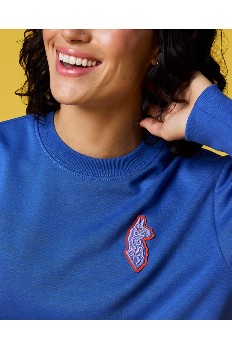 Lava Llama Crew Sweatshirt - Women's, Alternate, color, Azure