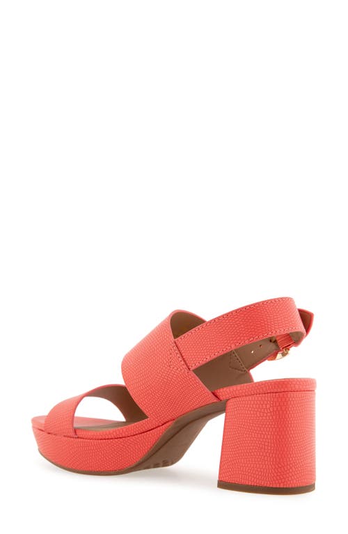 AEROSOLES AEROSOLES CAMILIA PLATFORM SANDAL