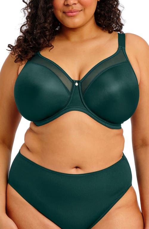 Elomi Plus Size Smooth Underwire Moulded Non Padded Bra El4301 In Green