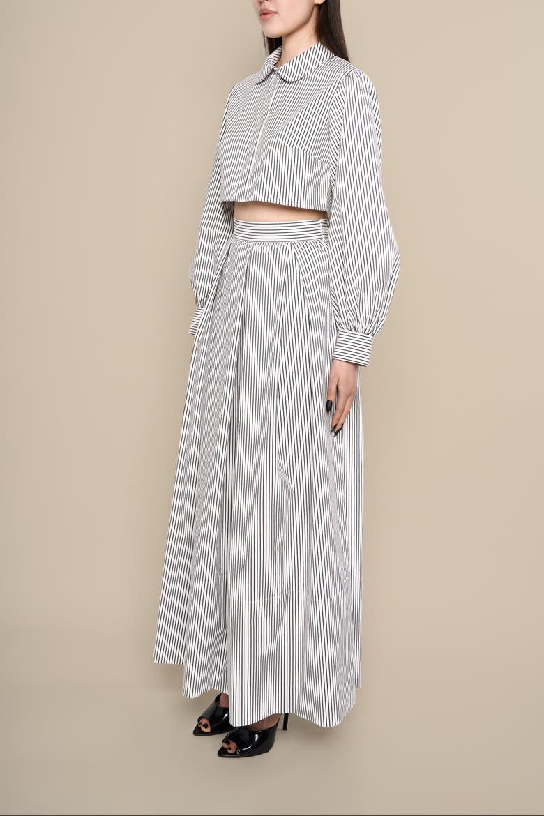 Thomasin Striped Cotton Poplin Maxi Skirt, Alternate, color, Black-white