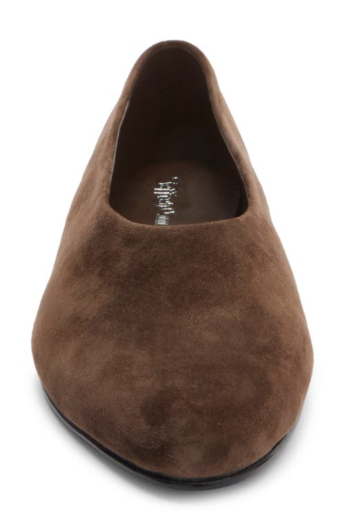 Jeffrey Campbell Collene Ballet Flat In Multi