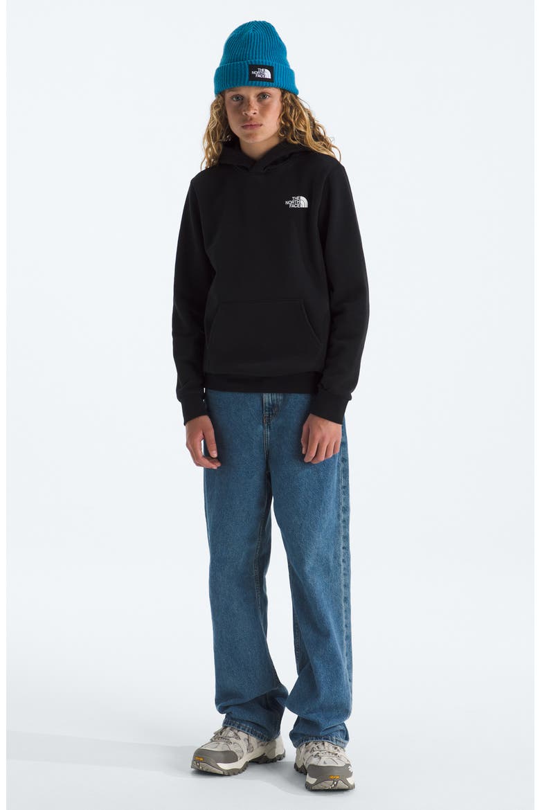 Kids' Evolution Cotton Blend Fleece Hoodie, Alternate, color, TNF BLACK