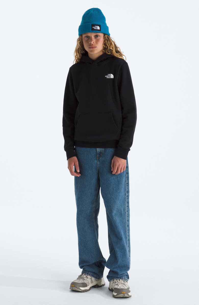 The North Face Kids' Evolution Cotton Blend Fleece Hoodie, Alternate, color, Tnf Black