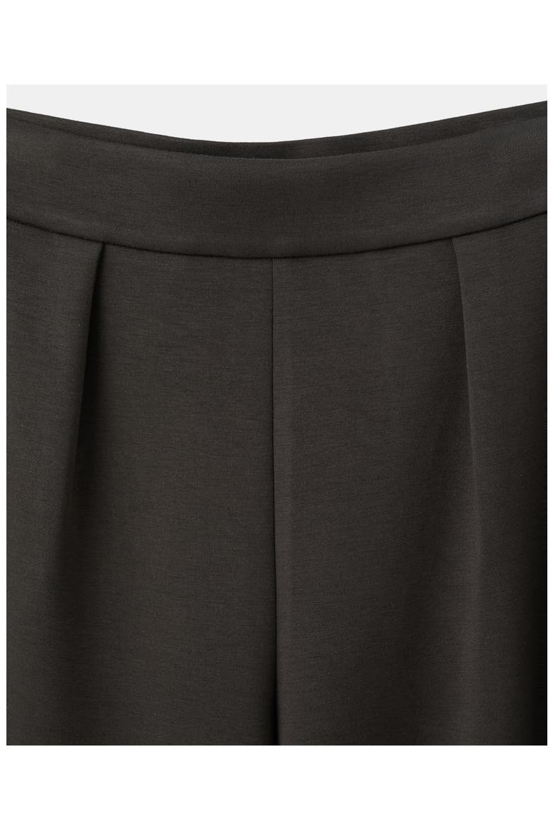 Pleated Elastic Waist Pants, Alternate, color, CHOCOLATE