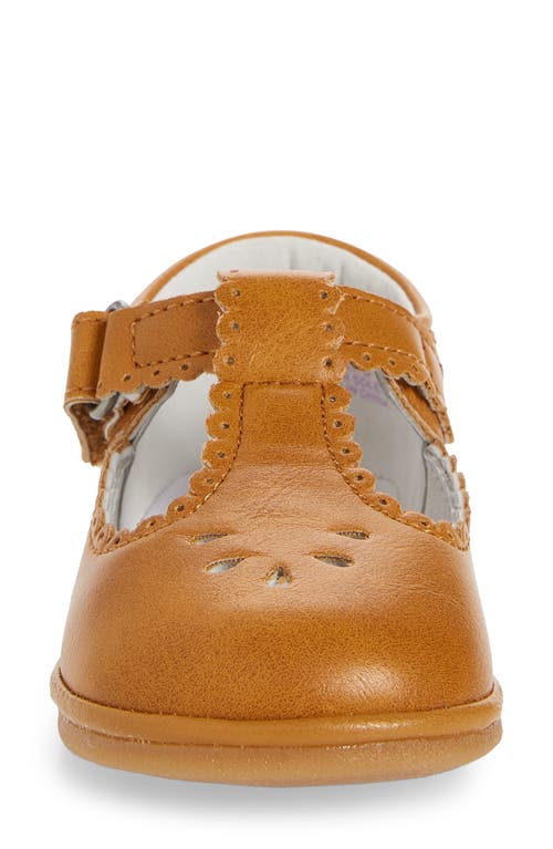 L'amour Dottie Scalloped T-strap Shoe In Brown