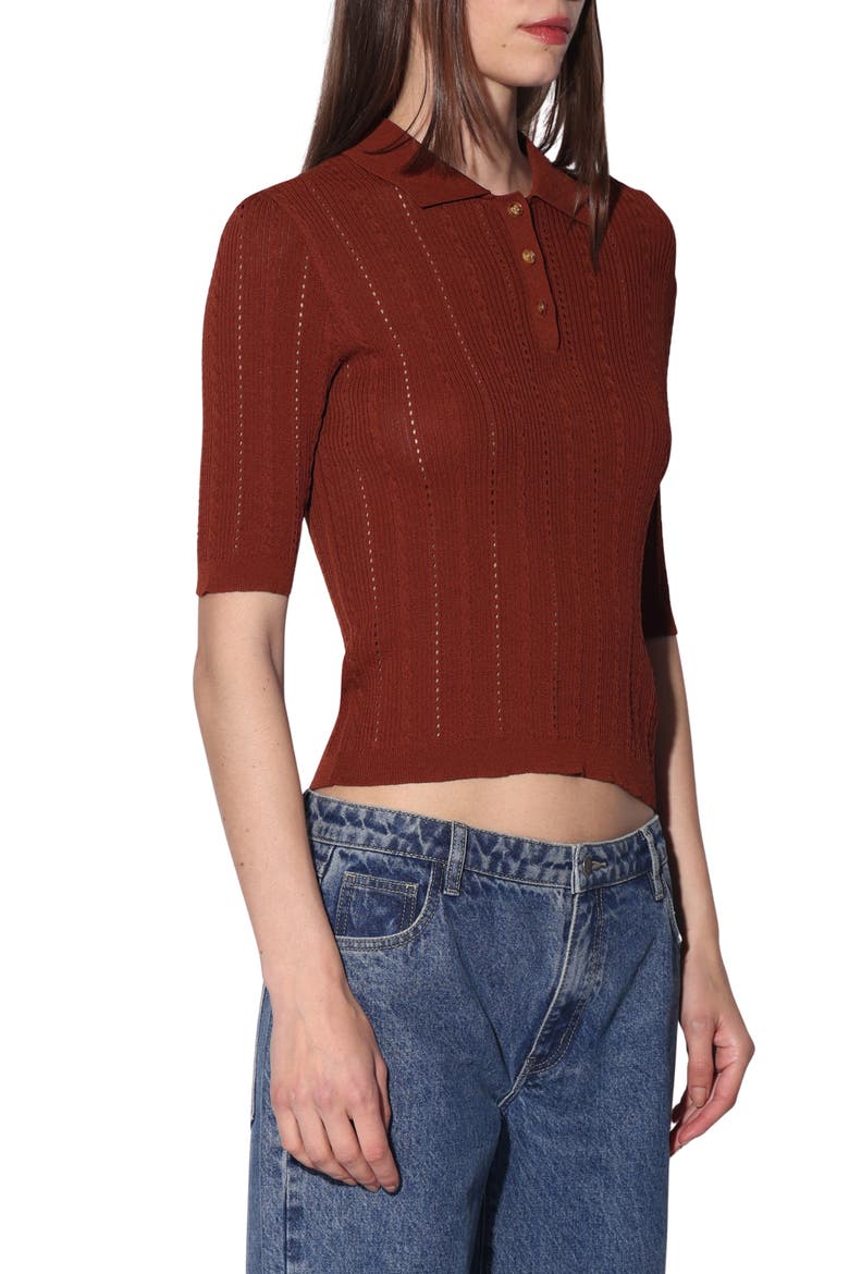 Preston Polo Sweater, Alternate, color, TERRACOTTA