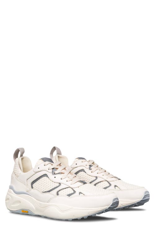 CLAE Salazar Sneaker in Off White Microchip 