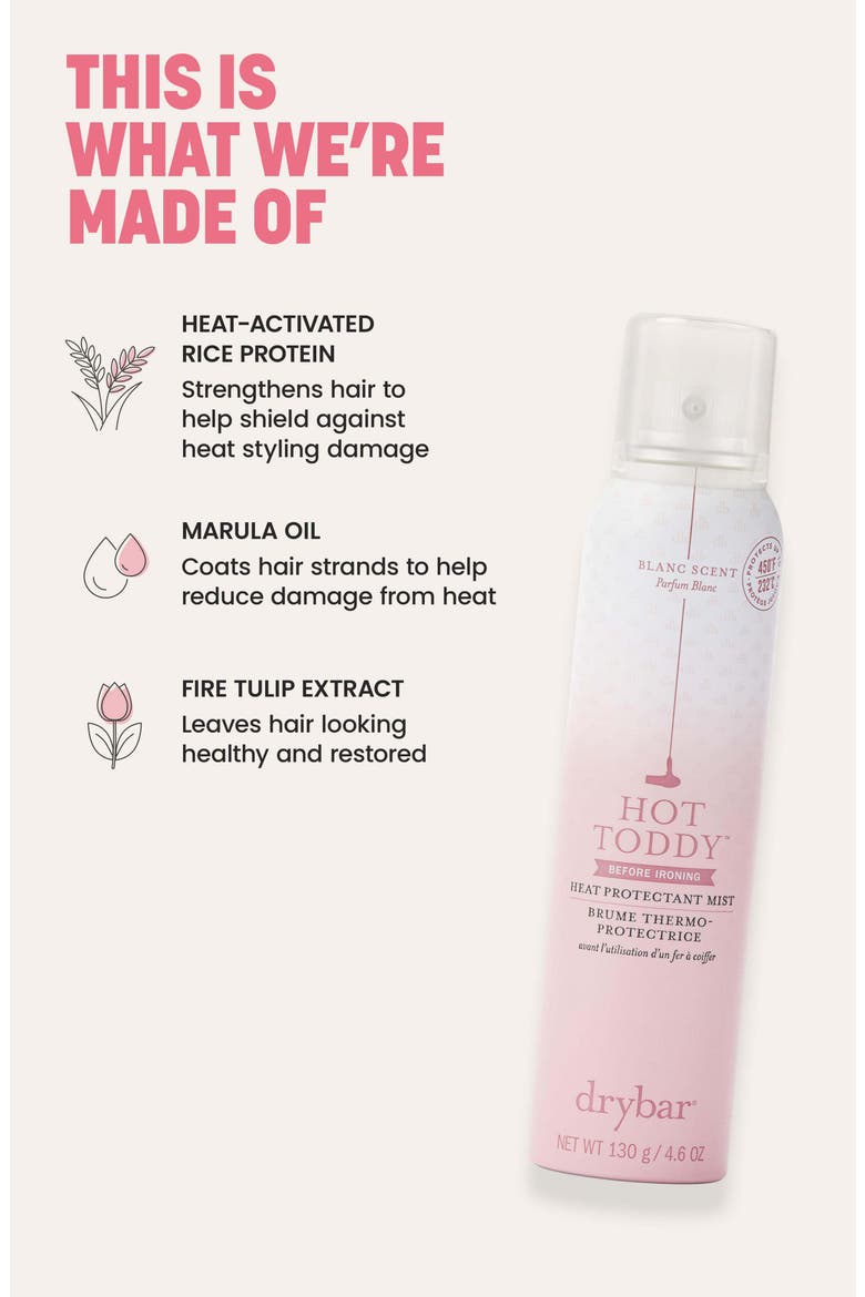 Hot Toddy Heat Protectant Mist, Alternate, color, ORIGINAL