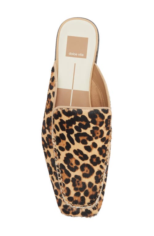 Dolce Vita Bradly Genuine Calf Hair Mule In Multi