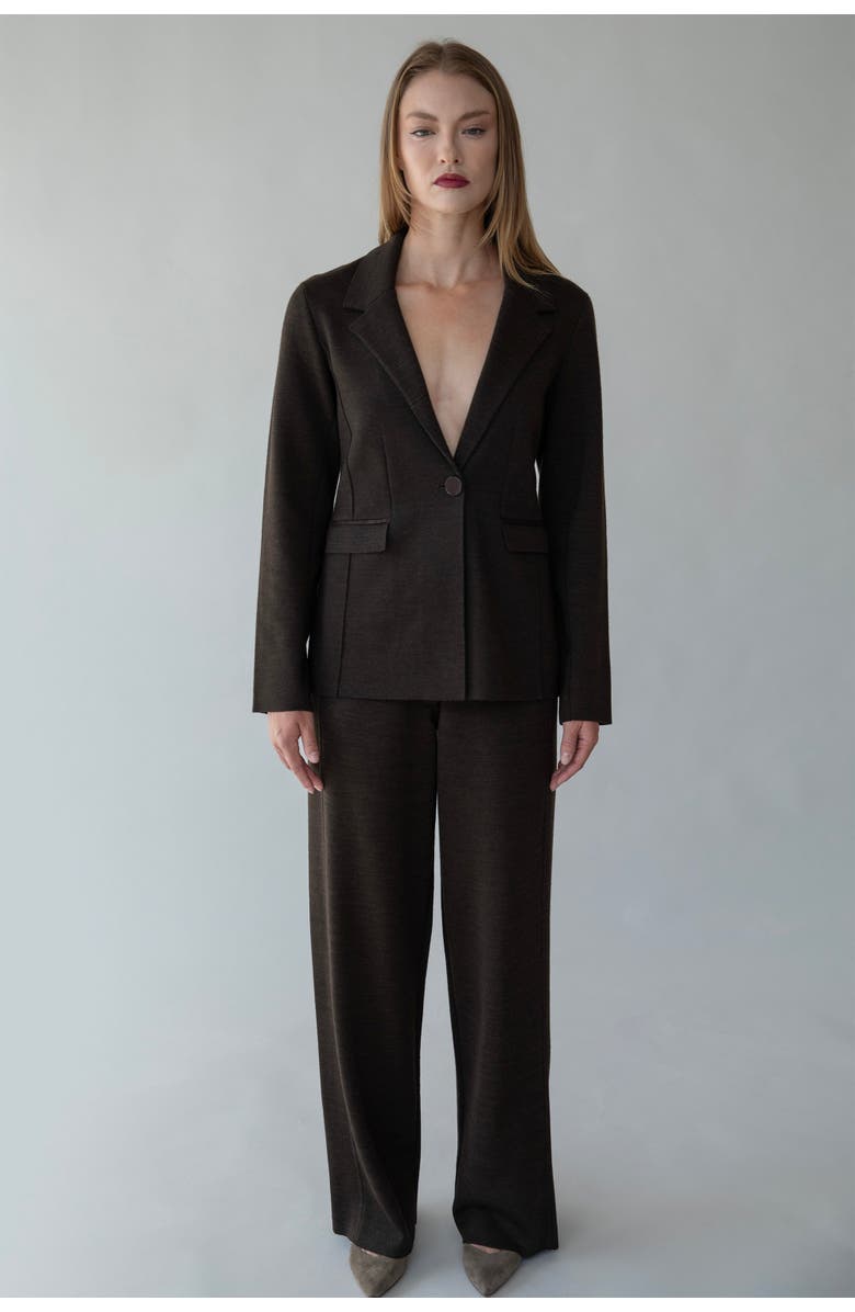 SSKEIN Laurent Trousers, Alternate, color, Cocoa
