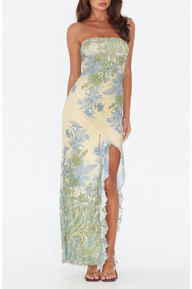 Theo Floral Strapless Mesh Maxi Dress, Main, color, PAISLEY TAPESTRY