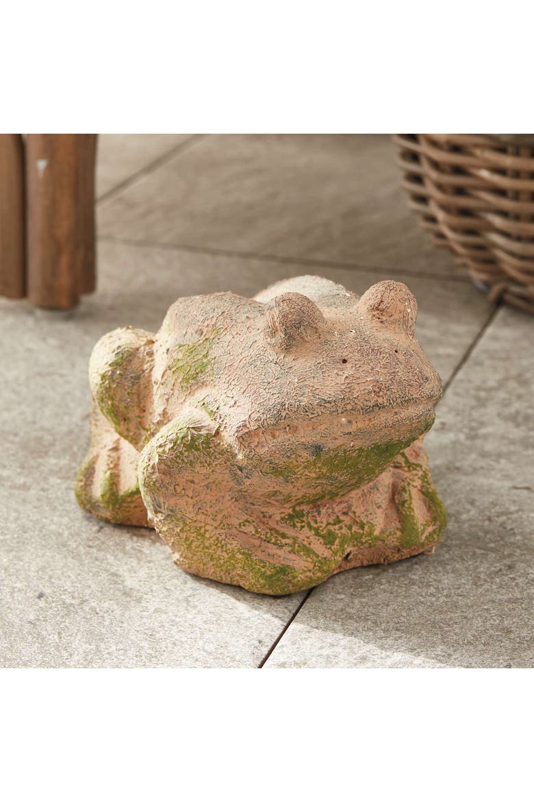 Weathered Garden Frog, Alternate, color, Brown