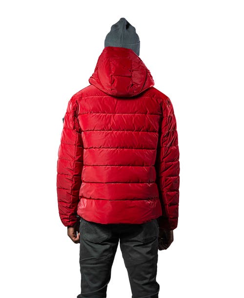 Woodpecker Sparrow Medium Weight Coat In Red