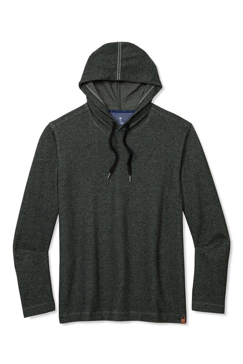 Fireside Coast Hoodie, Alternate, color, STORMY WILLOW