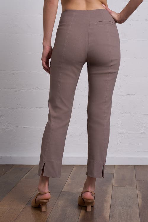 Franne Golde Slim Ankle Stretch Magic Pant In Brown