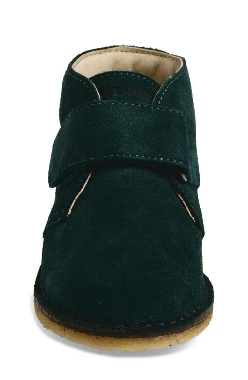 Naturino Choco Chukka Boot In Green