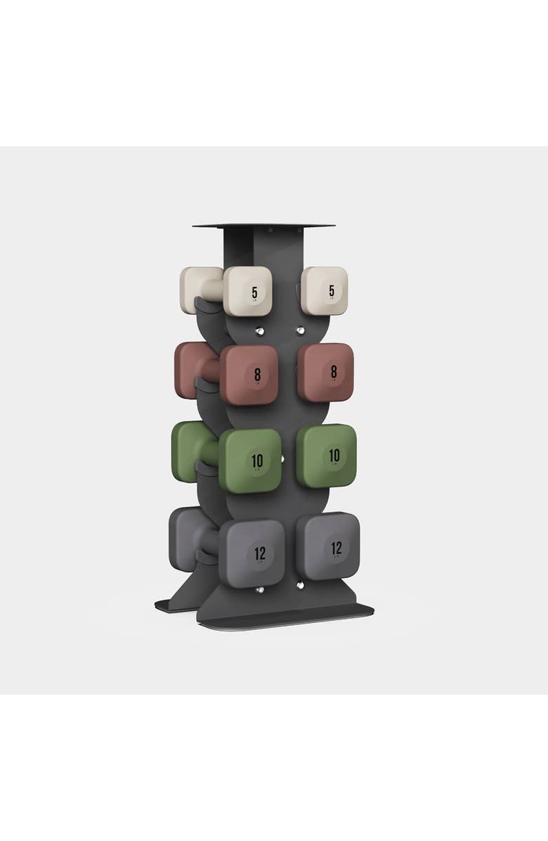 WeGym SafeGrip Dumbbells Middle Set with Dark Rack - 5, 8, 10, 12 lbs, Main, color, Assorted Pre-Pack