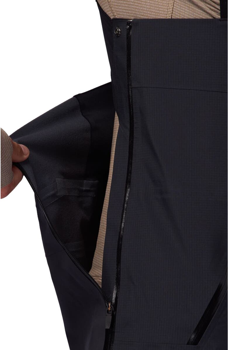 Backcountry Cardiac Gore-Tex 3L Bibs - Men's, Alternate, color, Black