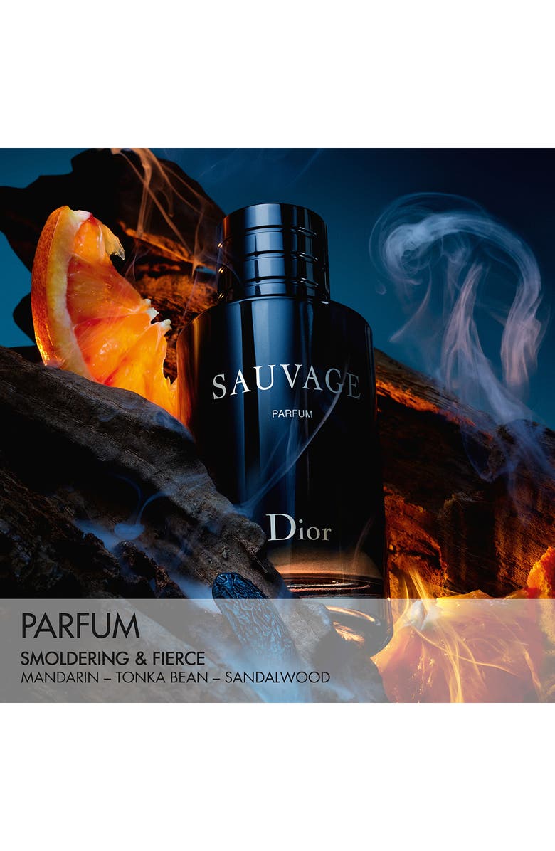 DIOR Sauvage Parfum Set, Alternate, color,