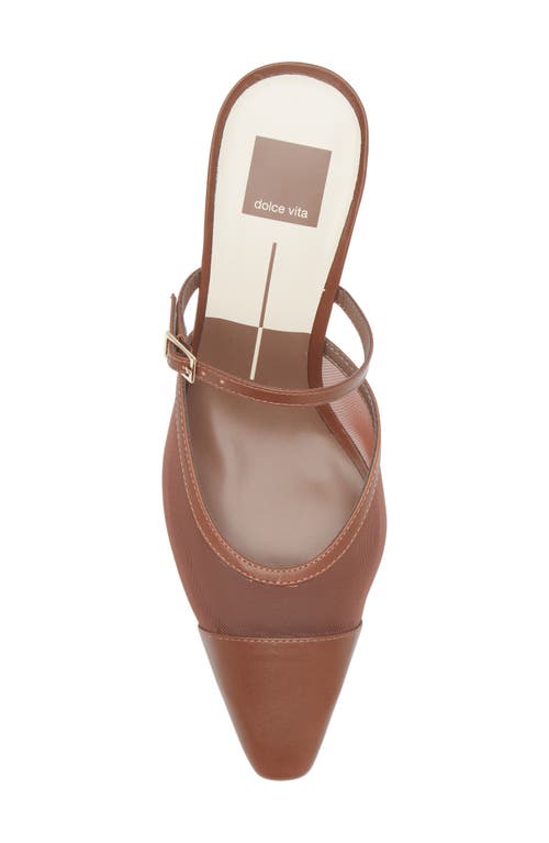 Dolce Vita Loyd Pointed Toe Pump In Brown