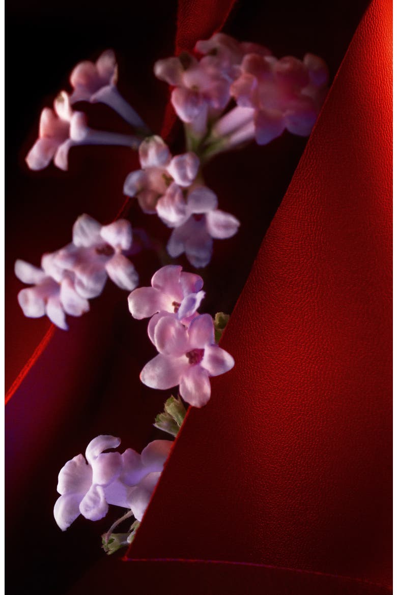 Cuir Fétiche Eau de Parfum, Alternate, color, NO COLOR
