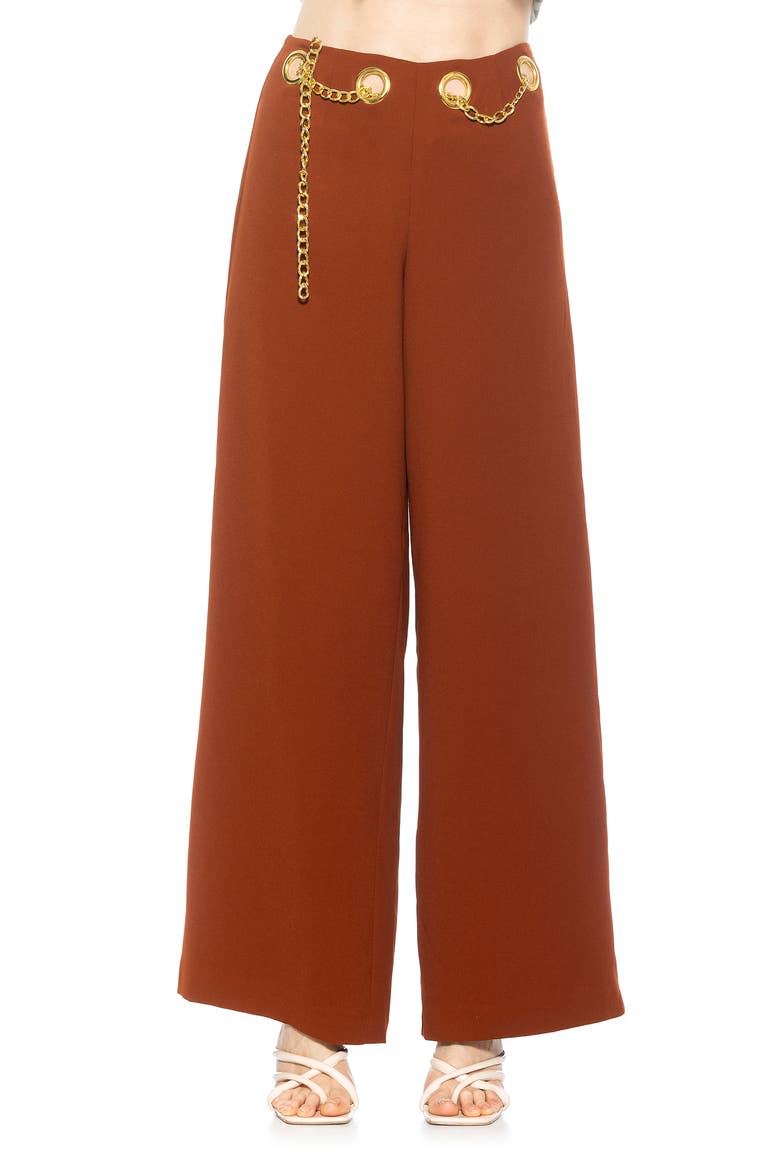 Cassie Grommet High Waist Wide Leg Pants, Main, color, BROWN
