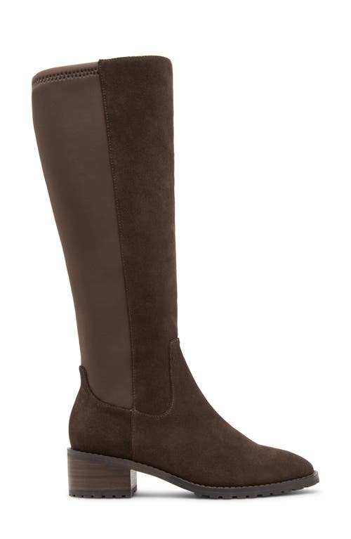 Blondo Sandy Waterproof Knee High Boot In Brown