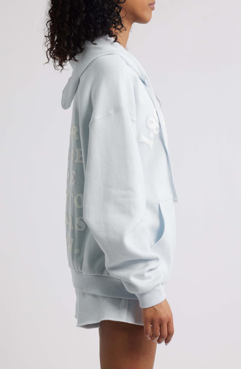 BOYS LIE 1-800 Boys Lie Full Zip Hoodie, Alternate, color, 