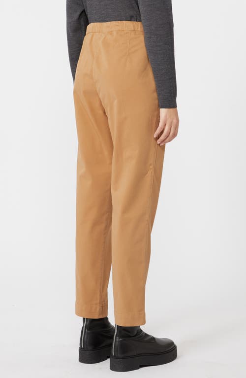 Mm By Max Mara Parco Tie Waist Crop Pants In Brown