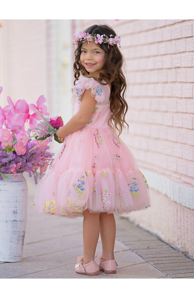Mia Belle Girls Girls Blush Fairy Garden Embroidered Floral Tutu Dress, Alternate, color, Pink