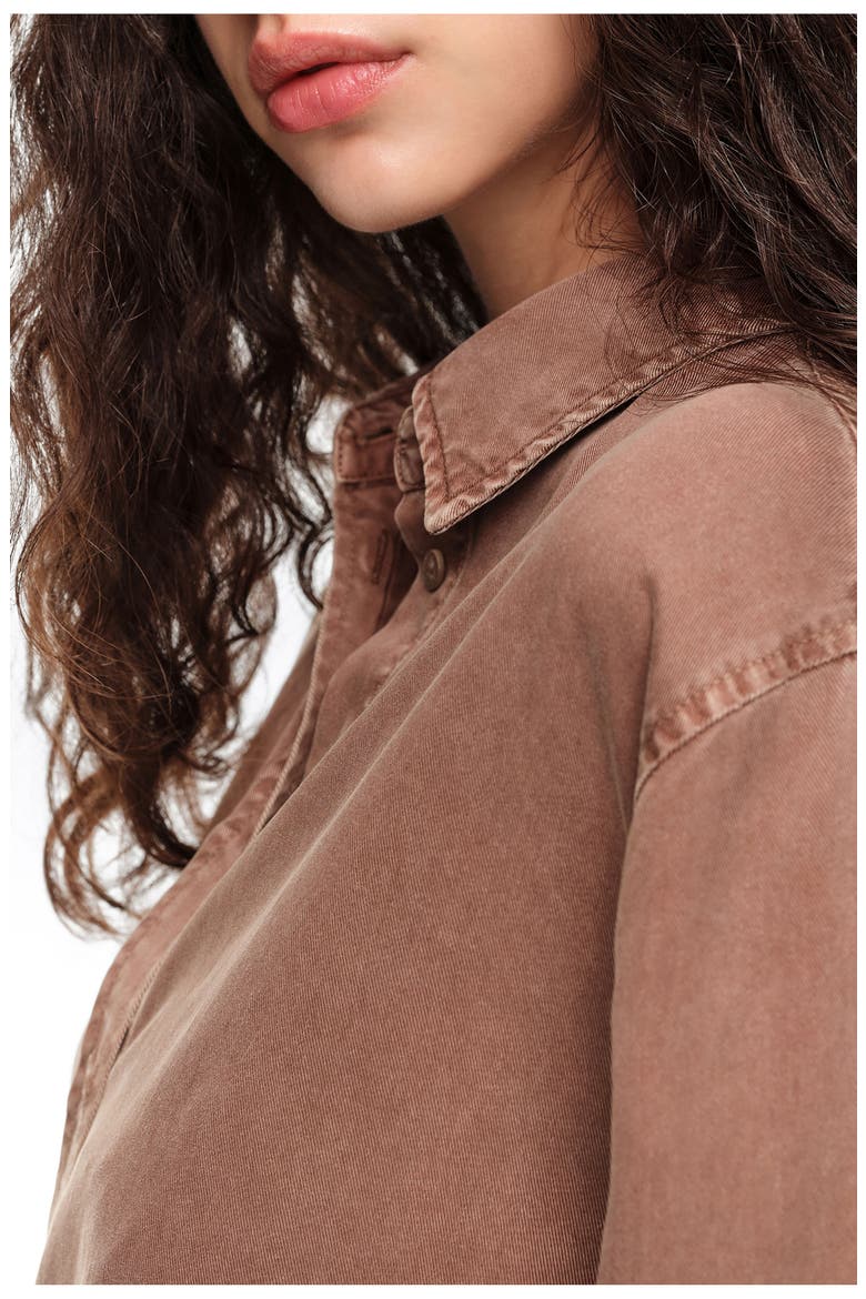 Straight Fluid Lyocell Shirt, Alternate, color, WASHED BROWN