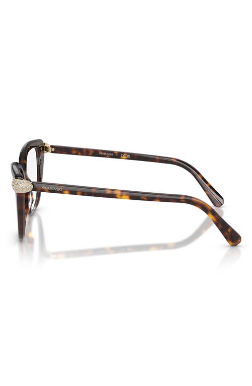 Swarovski 53mm Phantos Optical Glasses In Brown